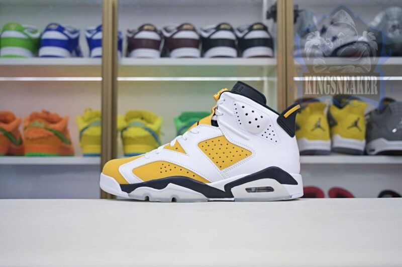 Air Jordan 6