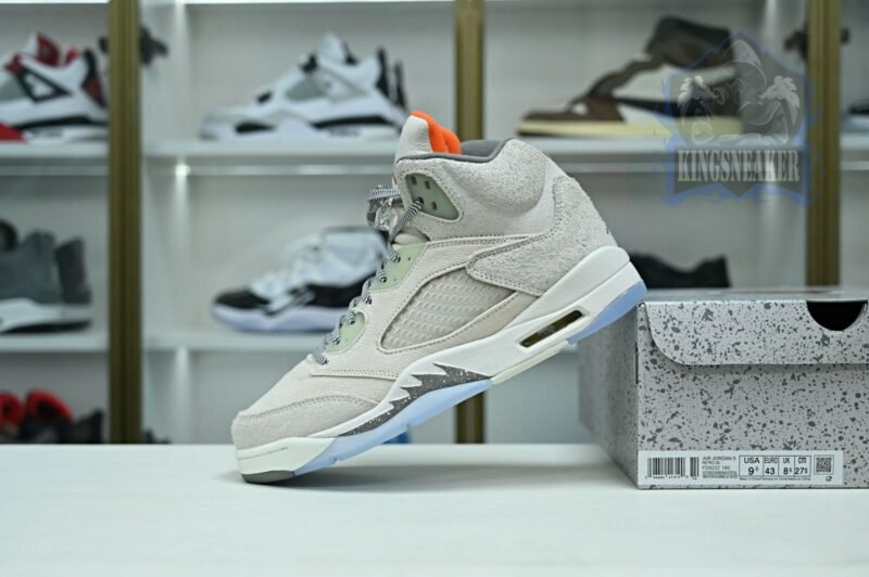 Jordan Air Jordan5 SE