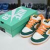 Nike Dunk SB Low Pro