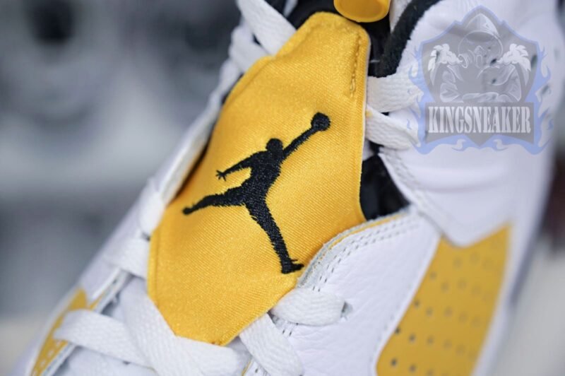 Air Jordan 6