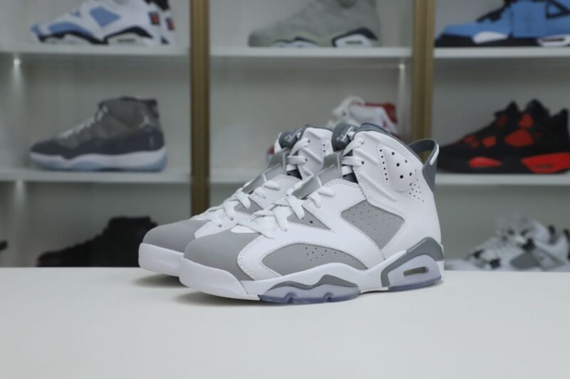 AIR JORDAN 6 COOL GREY