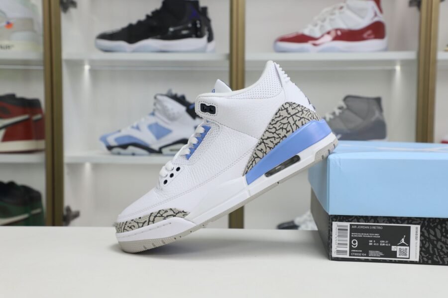 Jordan Air Jordan 3 retro