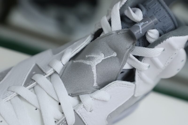 AIR JORDAN 6 COOL GREY