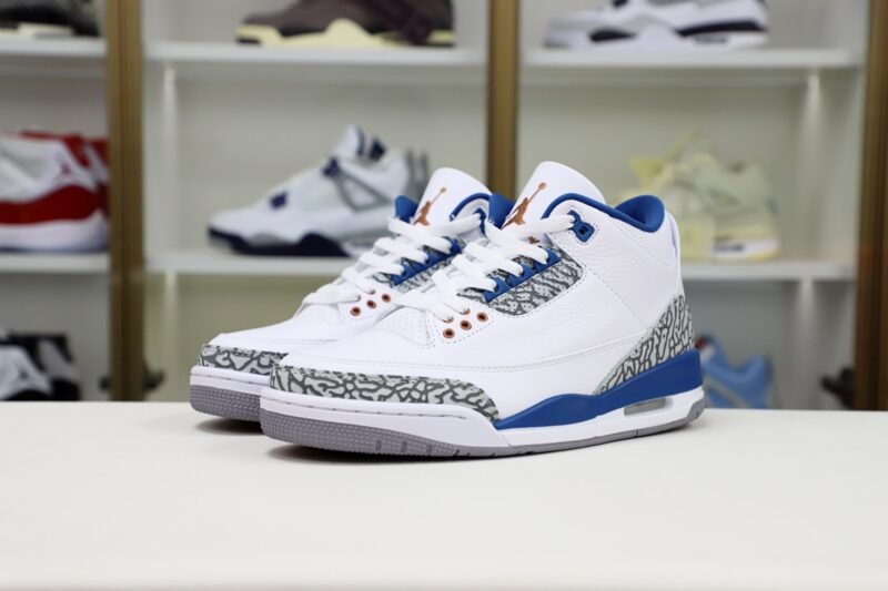 Jordan Air Jordan 3 retro